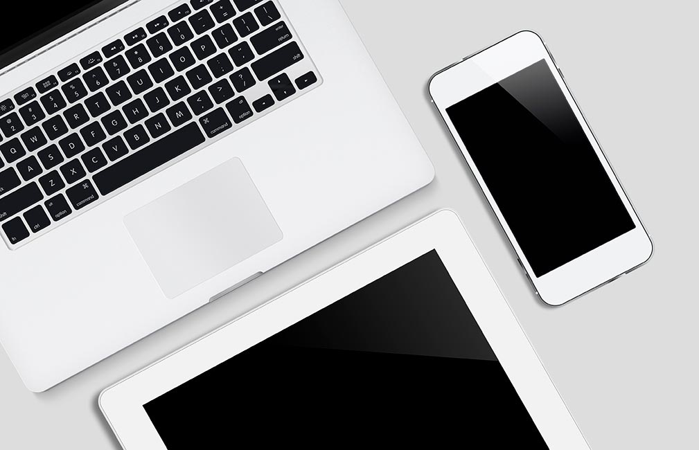 Dans la jungle des devis web