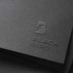Graphiste - Logo - Black Bird